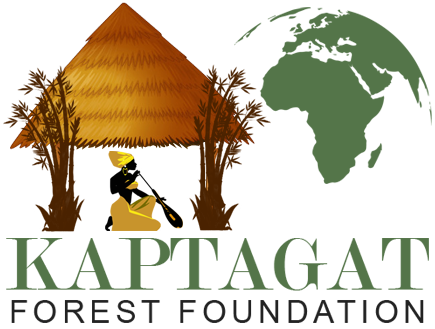 Kaptagat Forest Marathon